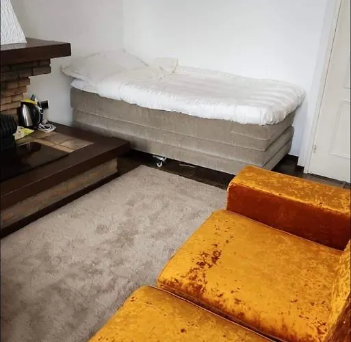 Private In The Centre Of ホームステイ